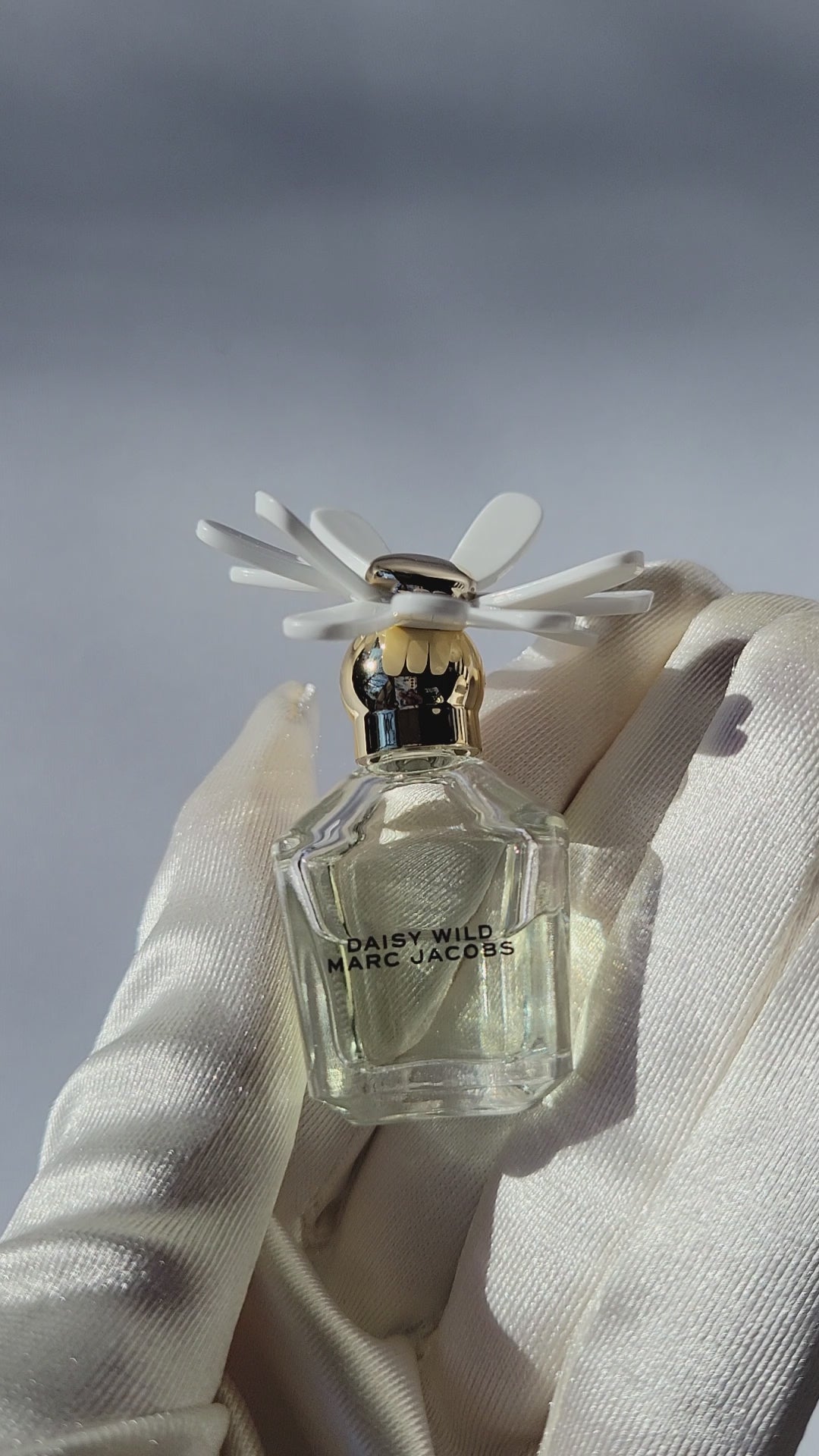 ☁️ Daisy Dream – Mini